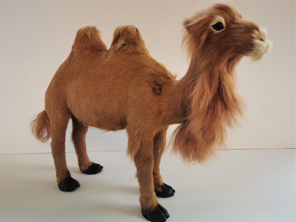 Kamel stehend gross Wullästübli